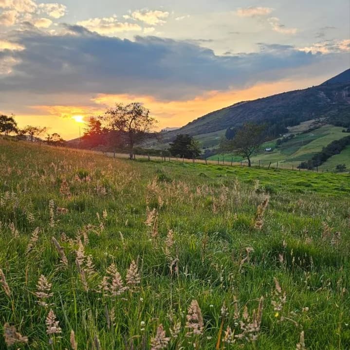 Paisaje de pradera y montañas al atardecer.